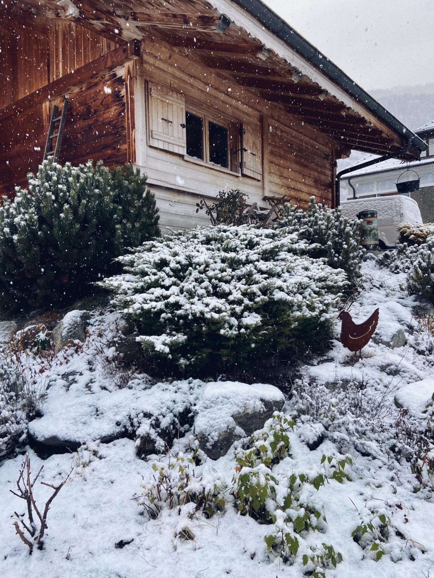 Вілла Grand Chalet A La Montagne Бур-Сен-Морис Екстер'єр фото